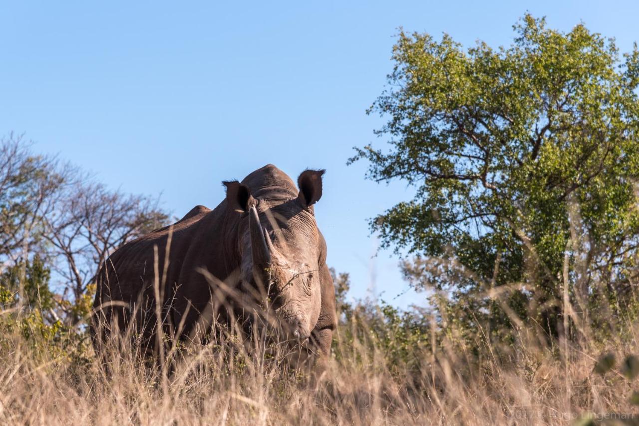 Okavango Lodge Livingstone Luaran gambar